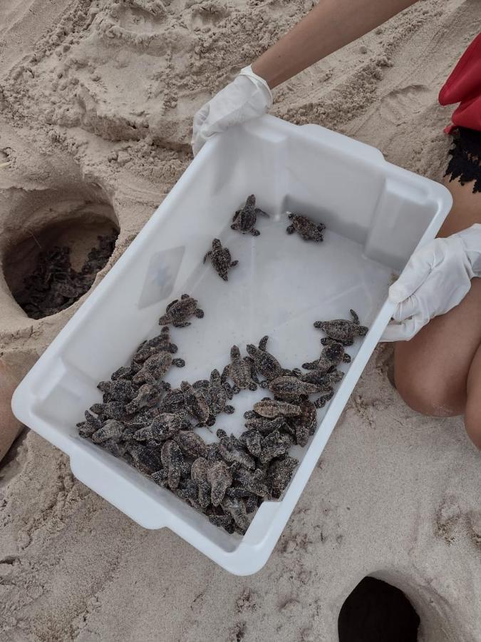 Pousada Boa A Beca Joao Pessoa Bagian luar foto